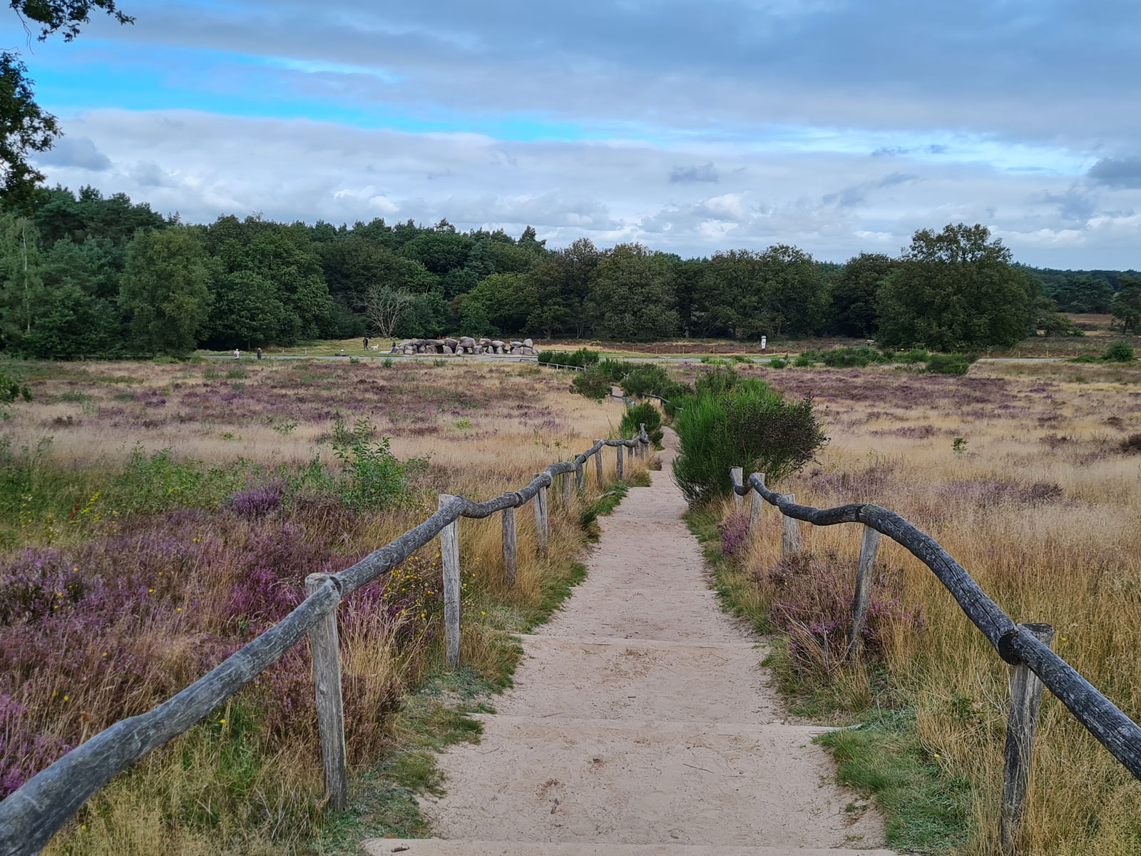 Wandelen over het Holtingerveld met hunebed